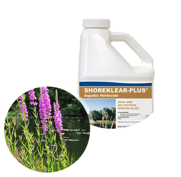 farmworks aquatic herbicide pond treatment Applied Biochemists Shoreklear-Plus® Aquatic Herbicide 1 Gallon - St. Peters, MO