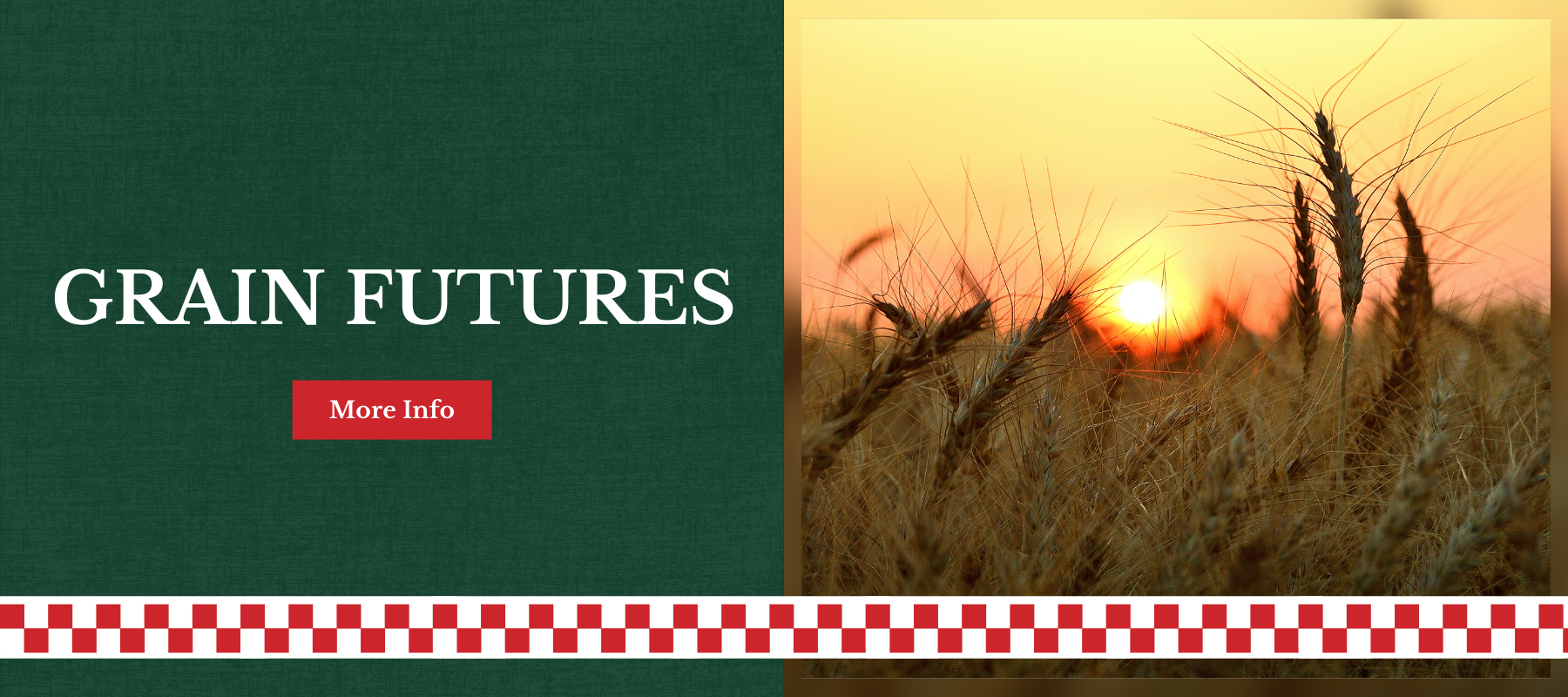 Grain futures themed image with wheat stalks silhouetted against a sunset on the right and 'Grain Futures' text on a dark green background on the left, with a 'More Info' button below.