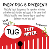 Jolly Pets Jolly Tug Dog Toy (LG)