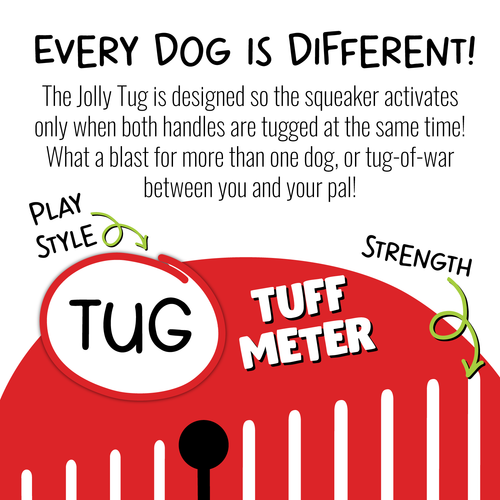 Jolly Pets Jolly Tug Dog Toy (LG)