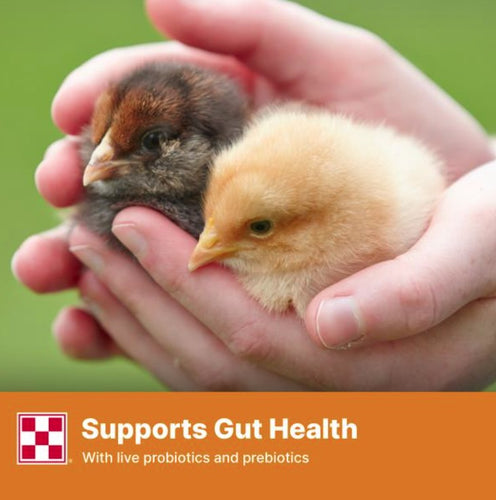 Purina® Start & Grow® Non-Medicated Chick Feed