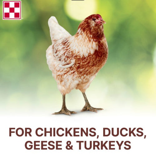 Purina® Scratch Grains