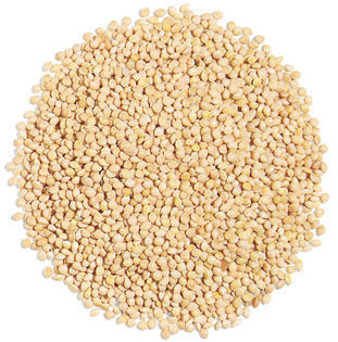 Prince Natures Select White Millet for Wild Bird Feed MP40