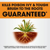 Roundup Poison Ivy Plus Tough Brush Killer2 Concentrate (32 oz)