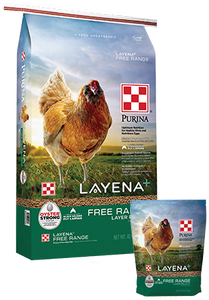 Purina® Layena®+ Free Range