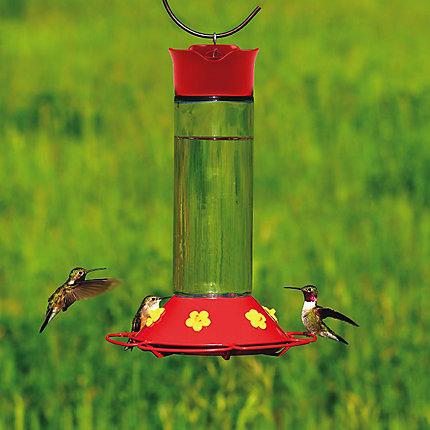 Perky-Pet® Glass Hummingbird Feeder