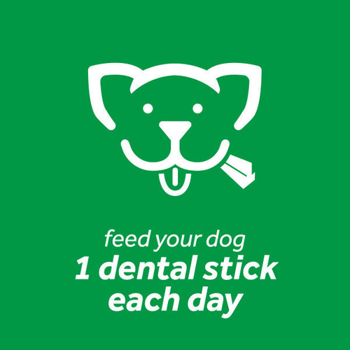 TropiClean Fresh Breath Dental Sticks for Large Dogs