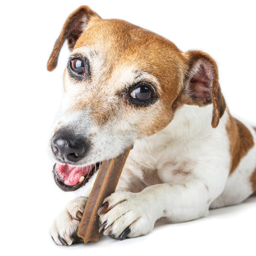 TropiClean Fresh Breath Dental Sticks for Small Dogs