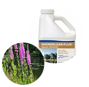 Applied Biochemists Shoreklear-Plus® Aquatic Herbicide 1 Gallon