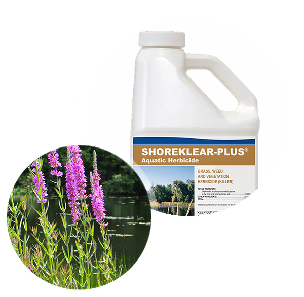 aquatic herbicide tractor supply Applied Biochemists Shoreklear-Plus® Aquatic Herbicide 1 Gallon - St. Peters, MO